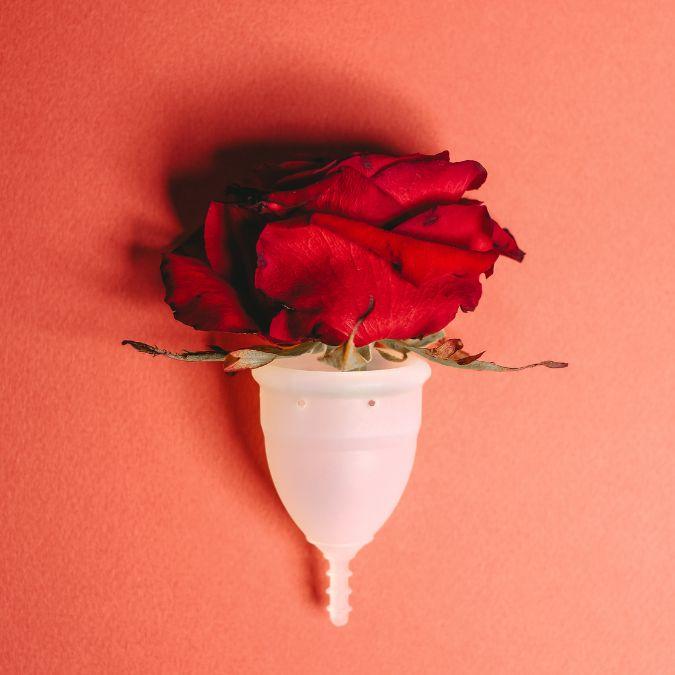 View All Period Comfort Products