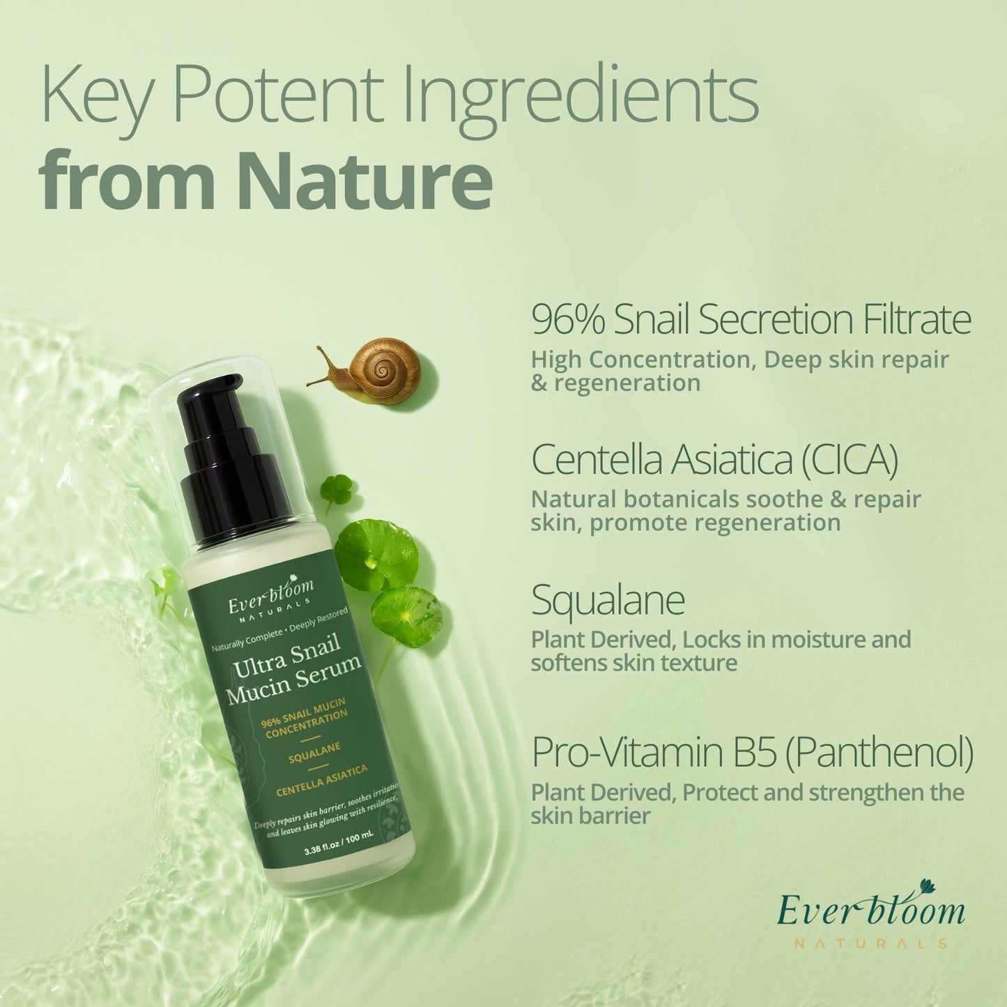 Ultra Snail Mucin Serum Ingredients