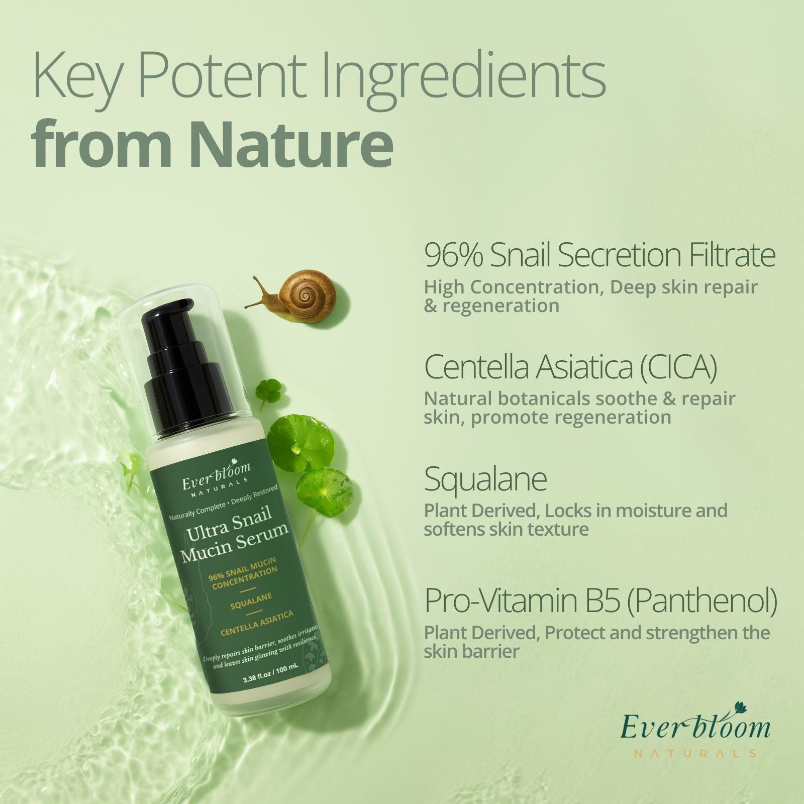 Ultra Snail Mucin Serum Ingredients
