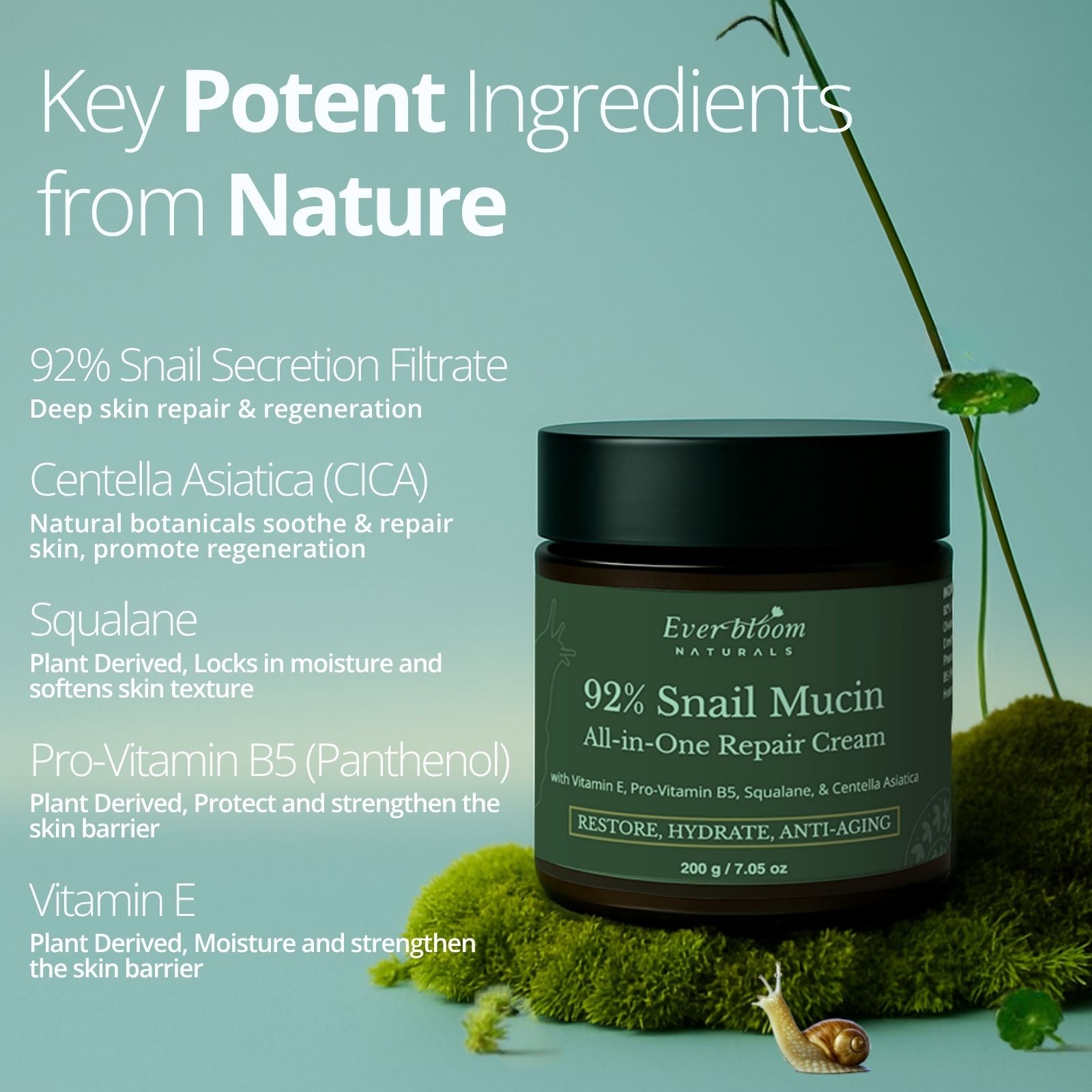 Snail Mucin Repair Cream Ingredients