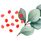 Logo representing this research and benefits: Eucalyptus for Anti-inflammatory