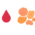 Logo for Frankincense for Heavy Menstrual Bleeding