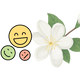 Logo representing this research and benefits: Jasmine for Mood