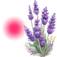 Logo representing this research and benefits: Lavender for Periods