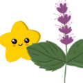 Logo for Patchouli for Stress and Mood