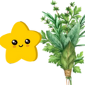 Logo for Thyme for Stress and Anxiety