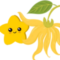 Logo for Ylang Ylang for Mood