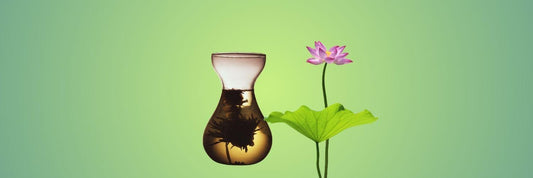 The Gentle Embrace of Lotus Leaf Tea: A Guide to History, Health, and Tranquility