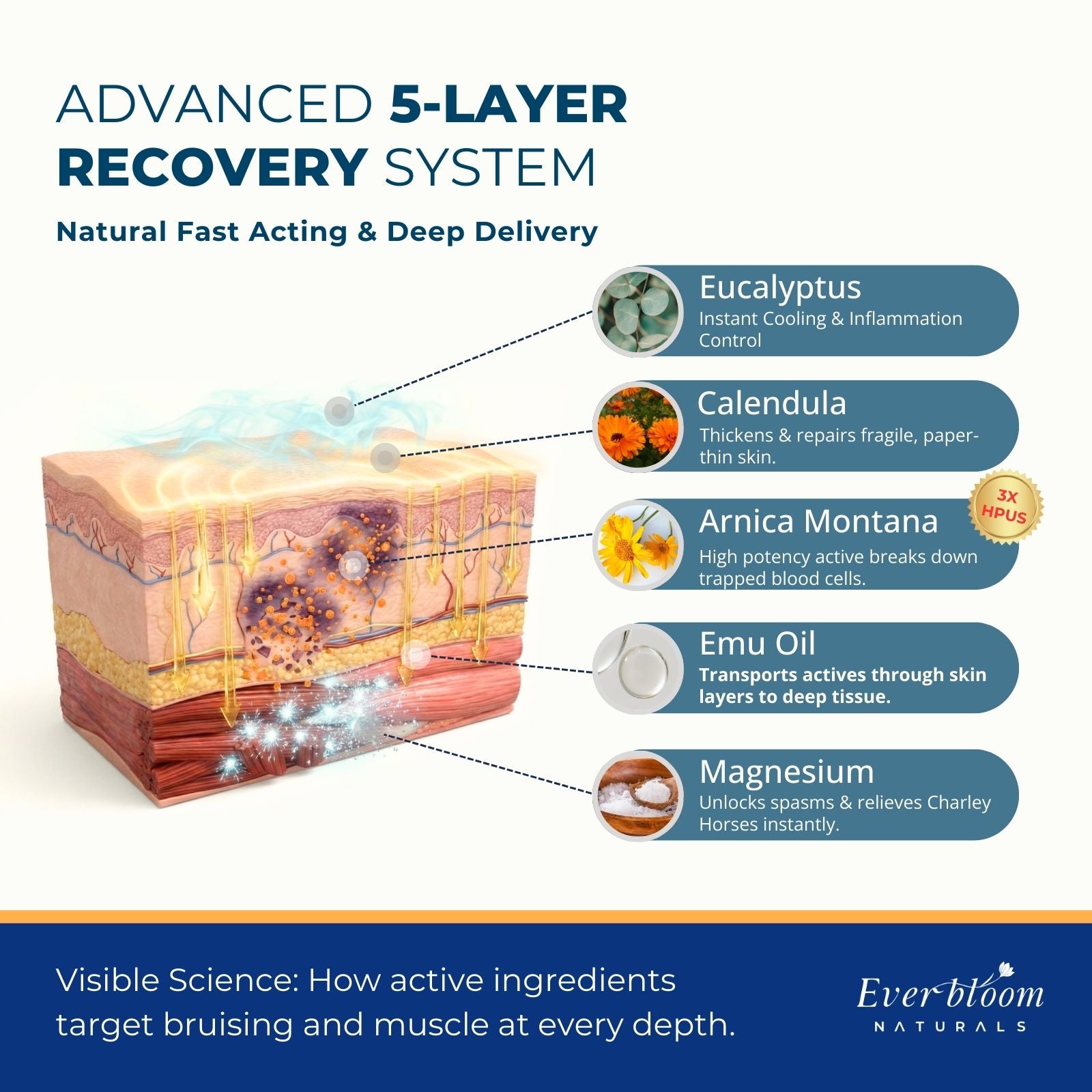 Arnica, Calendula & Magnesium Gel Ingredients