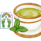 Logo representing this research and benefits: Green Tea for Metabolic Health and Weight Management