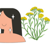 Helichrysum for Skin