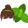 Peppermint for Hair