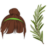 Rosemary for Hair