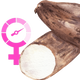 Logo representing this research and benefits: Wild Yam for Menopause