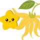Ylang Ylang for Mood